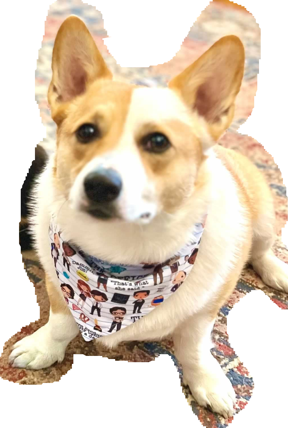 toby